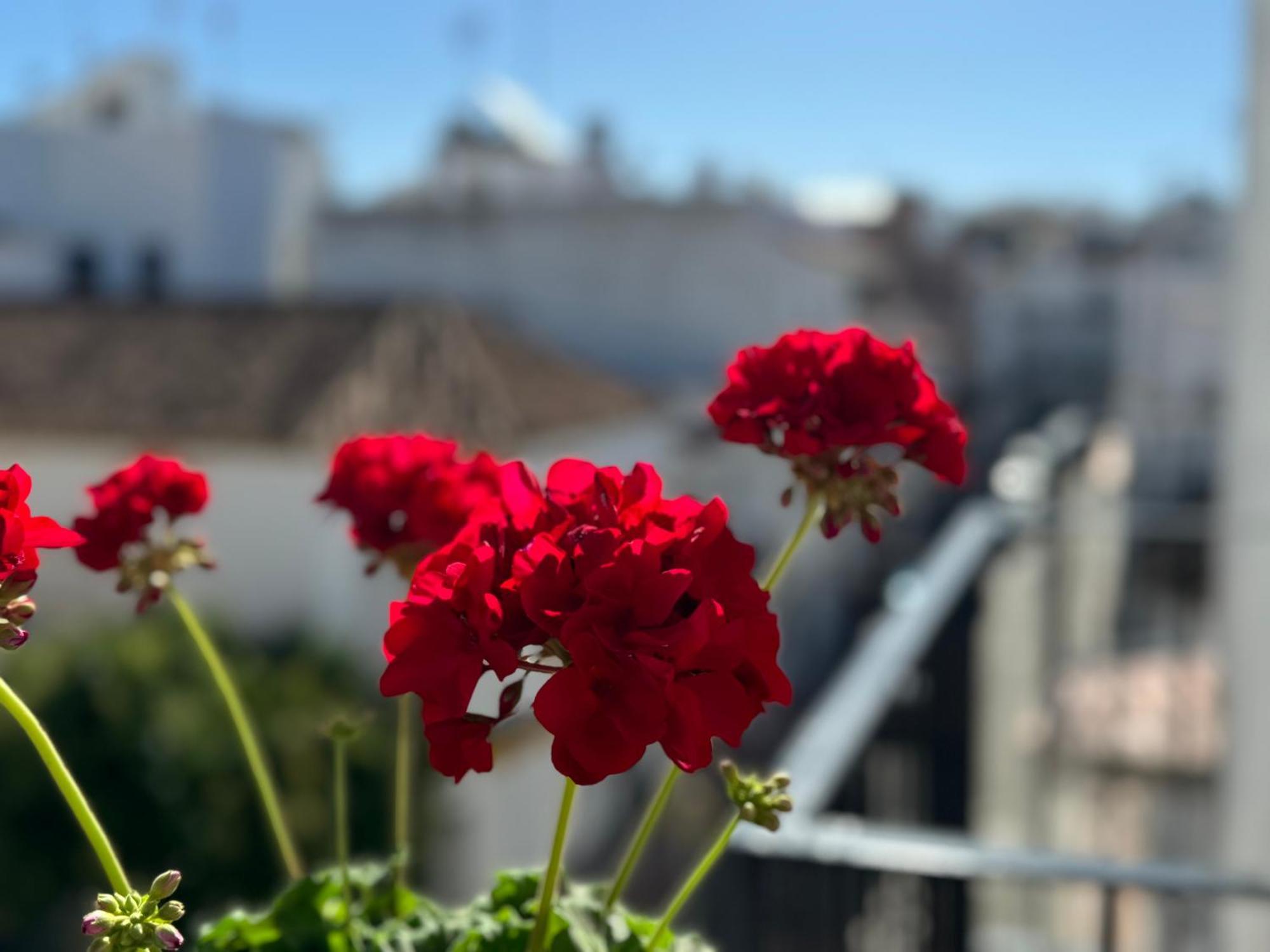 Encantadora Casa En El Corazon De Estepona Exteriér fotografie