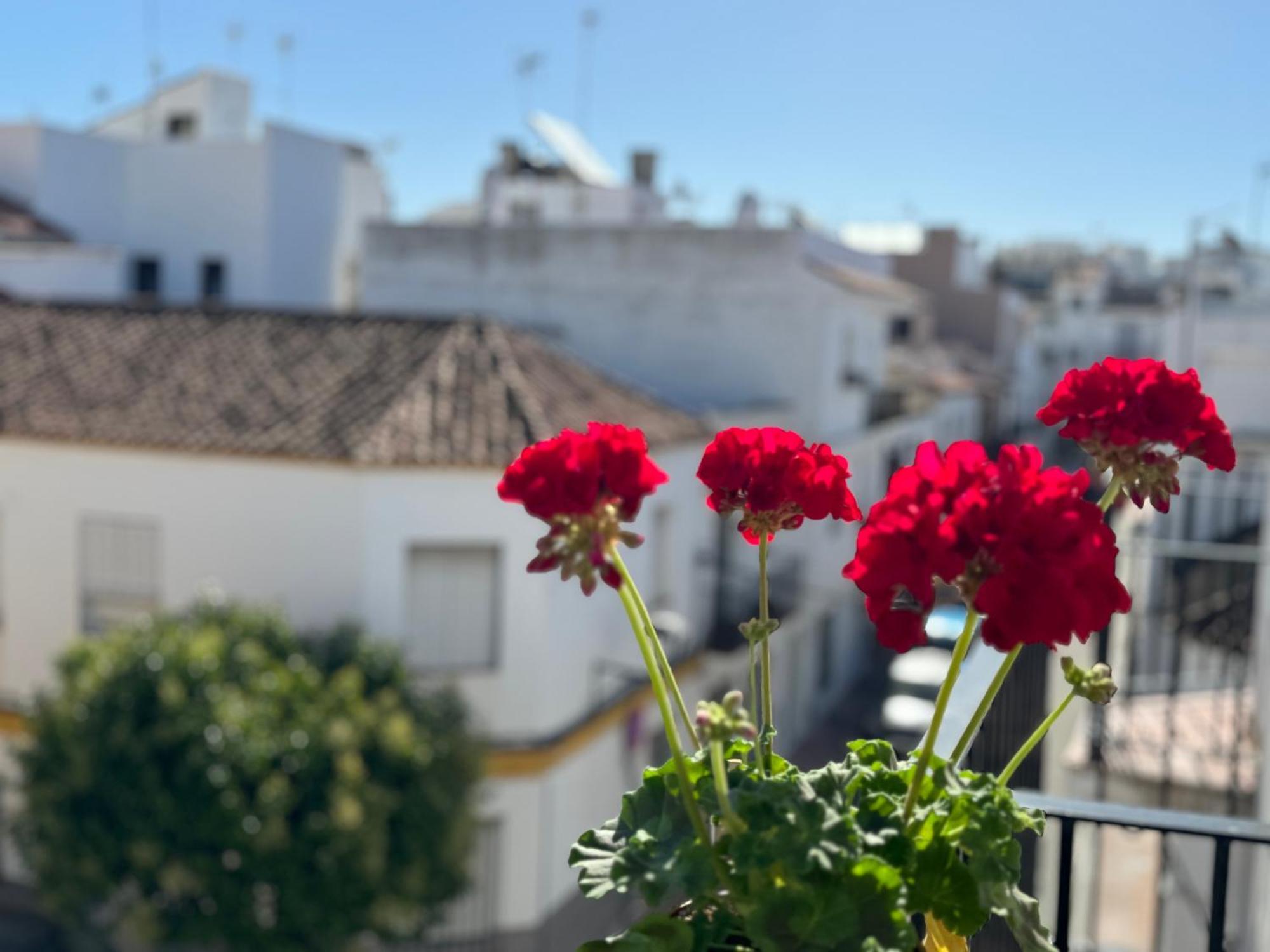 Encantadora Casa En El Corazon De Estepona Exteriér fotografie